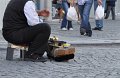 9909 a_DSC_0077